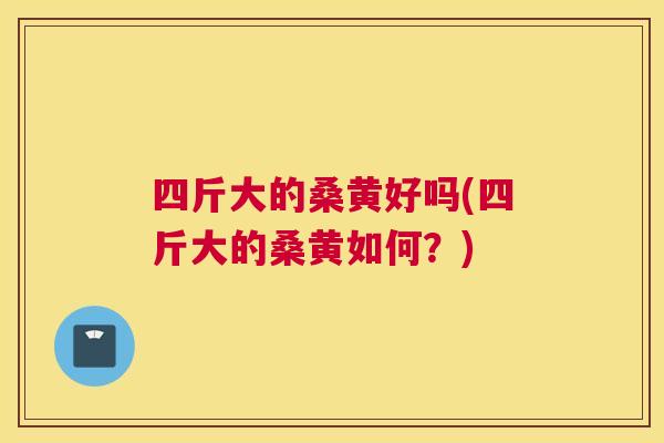 四斤大的桑黄好吗(四斤大的桑黄如何?) 四斤大的桑黄好吗(四斤大的桑黄如何?)