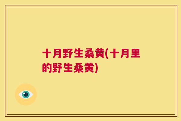 十月野生桑黄(十月里的野生桑黄) 十月野生桑黄(十月里的野生桑黄)