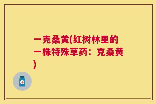 一克桑黄(红树林里的一株特殊草药:克桑黄) 一克桑黄(红树林里的一株特殊草药:克桑黄)