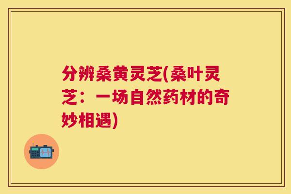 分辨桑黄灵芝(桑叶灵芝:一场自然药材的奇妙相遇) 分辨桑黄灵芝(桑叶灵芝:一场自然药材的奇妙相遇)