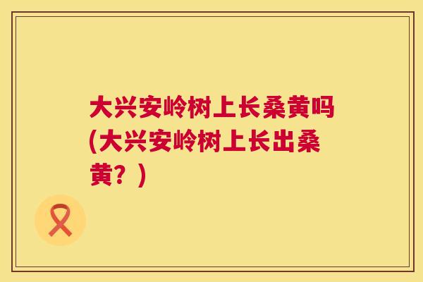 大兴安岭树上长桑黄吗(大兴安岭树上长出桑黄?) 大兴安岭树上长桑黄吗(大兴安岭树上长出桑黄?)