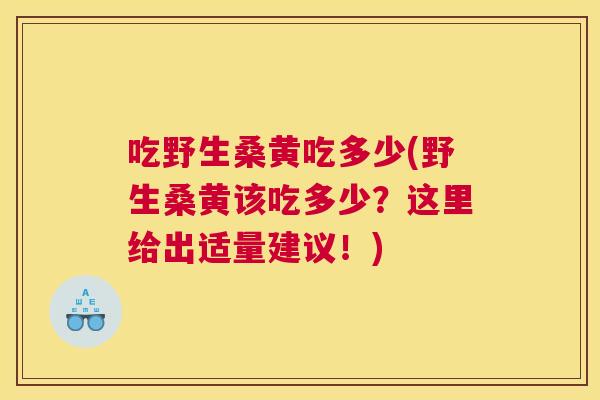 吃野生桑黄吃多少(野生桑黄该吃多少?这里给出适量建议!) 吃野生桑黄吃多少(野生桑黄该吃多少?这里给出适量建议!)