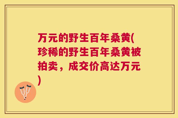 万元的野生百年桑黄(珍稀的野生百年桑黄被拍卖,成交价高达万元) 万元的野生百年桑黄(珍稀的野生百年桑黄被拍卖,成交价高达万元)