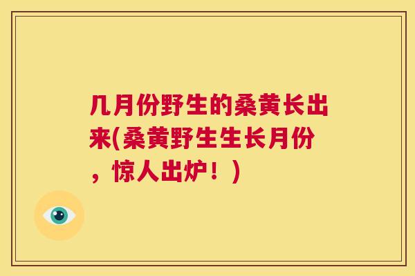 几月份野生的桑黄长出来(桑黄野生生长月份,惊人出炉!) 几月份野生的桑黄长出来(桑黄野生生长月份,惊人出炉!)