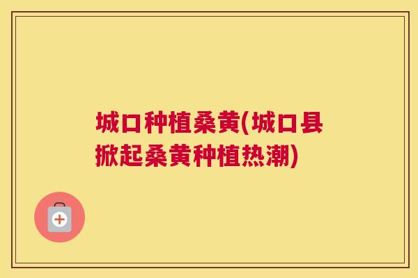 城口种植桑黄(城口县掀起桑黄种植热潮) 城口种植桑黄(城口县掀起桑黄种植热潮)