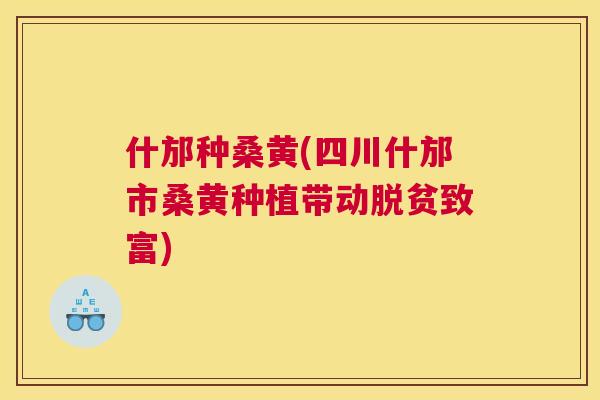 什邡种桑黄(四川什邡市桑黄种植带动脱贫致富) 什邡种桑黄(四川什邡市桑黄种植带动脱贫致富)