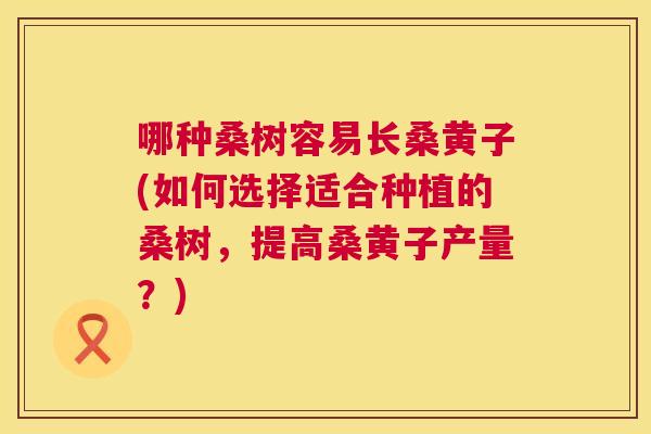 哪种桑树容易长桑黄子(如何选择适合种植的桑树，提高桑黄子产量？)