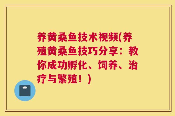 养黄桑鱼技术视频(养殖黄桑鱼技巧分享:教你成功孵化、饲养、与繁殖!) 养黄桑鱼技术视频(养殖黄桑鱼技巧分享:教你成功孵化、饲养、与繁殖!)