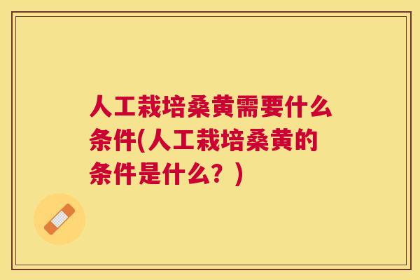 人工栽培桑黄需要什么条件(人工栽培桑黄的条件是什么?) 人工栽培桑黄需要什么条件(人工栽培桑黄的条件是什么?)