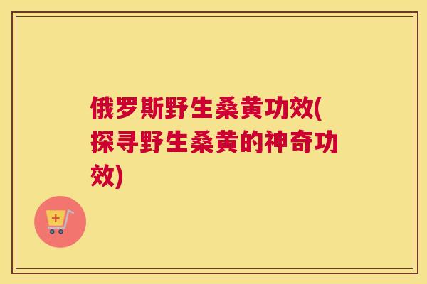 俄罗斯野生桑黄功效(探寻野生桑黄的神奇功效) 俄罗斯野生桑黄功效(探寻野生桑黄的神奇功效)