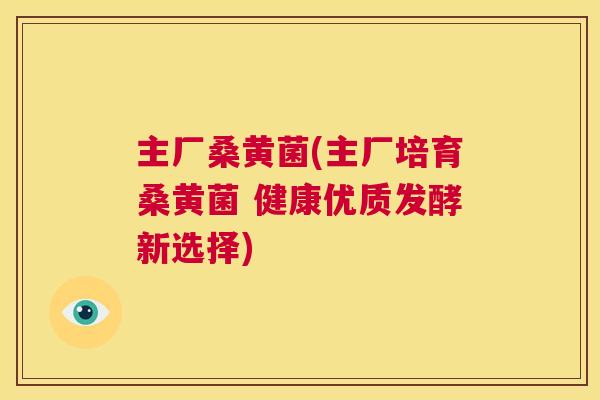 主厂桑黄菌(主厂培育桑黄菌 健康优质发酵新选择) 主厂桑黄菌(主厂培育桑黄菌 健康优质发酵新选择)