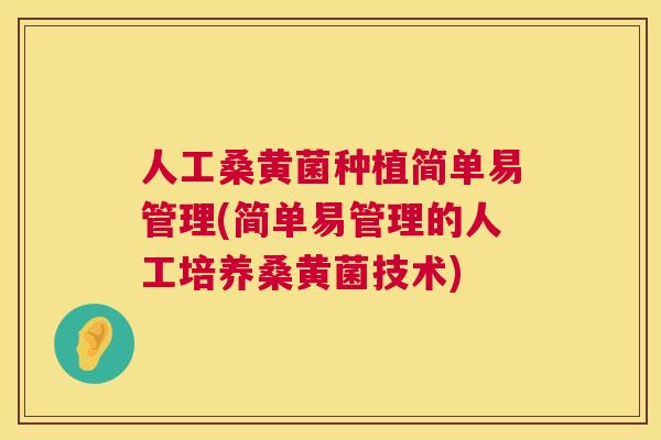 人工桑黄菌种植简单易管理(简单易管理的人工培养桑黄菌技术) 人工桑黄菌种植简单易管理(简单易管理的人工培养桑黄菌技术)
