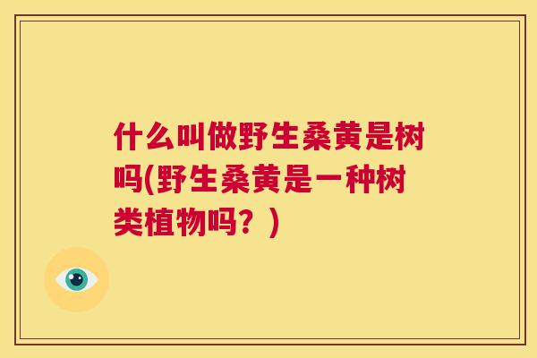 什么叫做野生桑黄是树吗(野生桑黄是一种树类植物吗?) 什么叫做野生桑黄是树吗(野生桑黄是一种树类植物吗?)