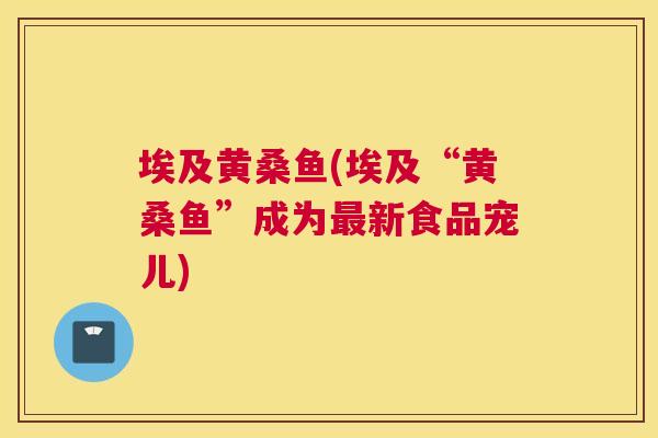 埃及黄桑鱼(埃及“黄桑鱼”成为新食品宠儿) 埃及黄桑鱼(埃及“黄桑鱼”成为新食品宠儿)