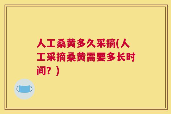 人工桑黄多久采摘(人工采摘桑黄需要多长时间?) 人工桑黄多久采摘(人工采摘桑黄需要多长时间?)