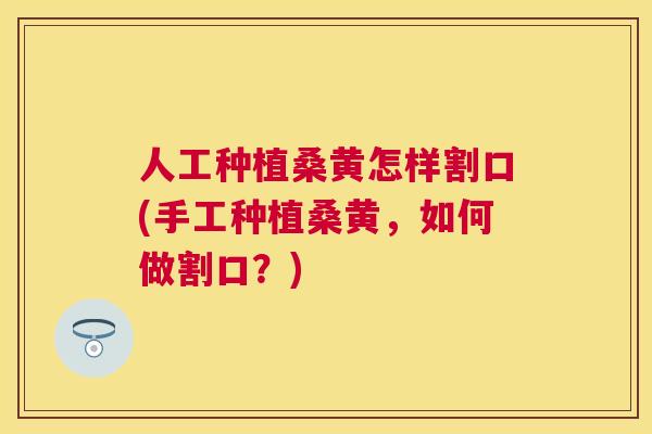 人工种植桑黄怎样割口(手工种植桑黄,如何做割口?) 人工种植桑黄怎样割口(手工种植桑黄,如何做割口?)