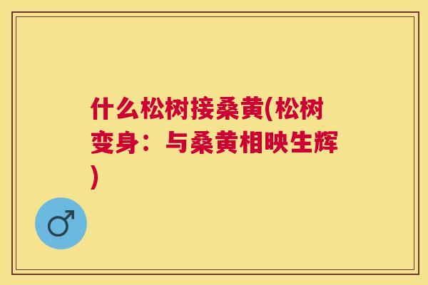 什么松树接桑黄(松树变身:与桑黄相映生辉) 什么松树接桑黄(松树变身:与桑黄相映生辉)