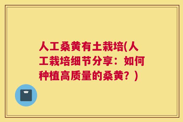 人工桑黄有土栽培(人工栽培细节分享:如何种植高质量的桑黄?) 人工桑黄有土栽培(人工栽培细节分享:如何种植高质量的桑黄?)