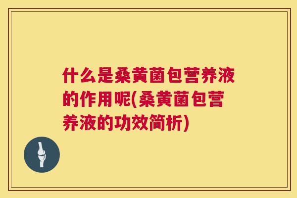 什么是桑黄菌包营养液的作用呢(桑黄菌包营养液的功效简析) 什么是桑黄菌包营养液的作用呢(桑黄菌包营养液的功效简析)