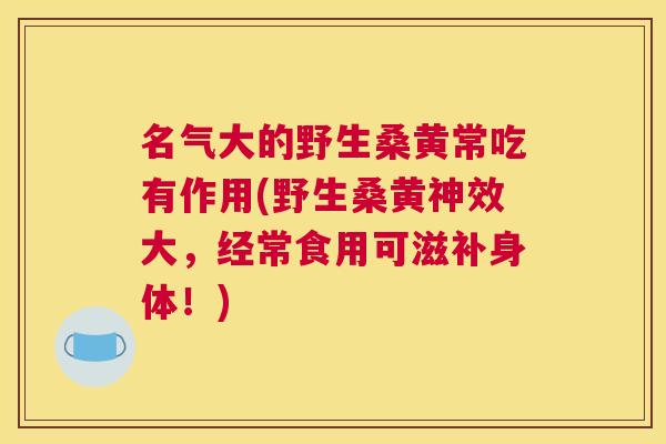 名气大的野生桑黄常吃有作用(野生桑黄神效大,经常食用可滋补身体!) 名气大的野生桑黄常吃有作用(野生桑黄神效大,经常食用可滋补身体!)