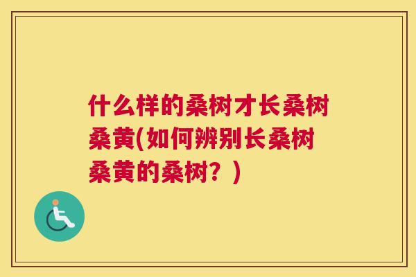 什么样的桑树才长桑树桑黄(如何辨别长桑树桑黄的桑树?) 什么样的桑树才长桑树桑黄(如何辨别长桑树桑黄的桑树?)