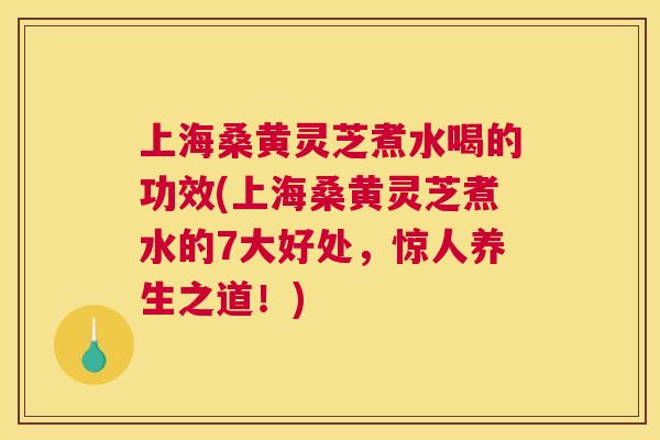 上海桑黄灵芝煮水喝的功效(上海桑黄灵芝煮水的7大好处,惊人养生之道!) 上海桑黄灵芝煮水喝的功效(上海桑黄灵芝煮水的7大好处,惊人养生之道!)