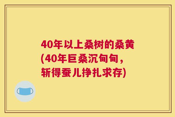 40年以上桑树的桑黄(40年巨桑沉甸甸,斩得蚕儿挣扎求存) 40年以上桑树的桑黄(40年巨桑沉甸甸,斩得蚕儿挣扎求存)