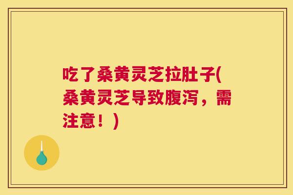 吃了桑黄灵芝拉肚子(桑黄灵芝导致,需注意!) 吃了桑黄灵芝拉肚子(桑黄灵芝导致,需注意!)