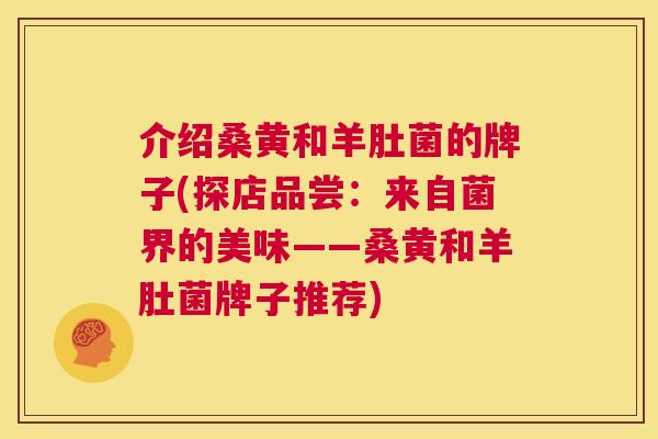 介绍桑黄和羊肚菌的牌子(探店品尝:来自菌界的美味——桑黄和羊肚菌牌子推荐) 介绍桑黄和羊肚菌的牌子(探店品尝:来自菌界的美味——桑黄和羊肚菌牌子推荐)