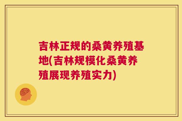 吉林正规的桑黄养殖基地(吉林规模化桑黄养殖展现养殖实力) 吉林正规的桑黄养殖基地(吉林规模化桑黄养殖展现养殖实力)