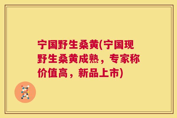 宁国野生桑黄(宁国现野生桑黄成熟,专家称价值高,新品上市) 宁国野生桑黄(宁国现野生桑黄成熟,专家称价值高,新品上市)