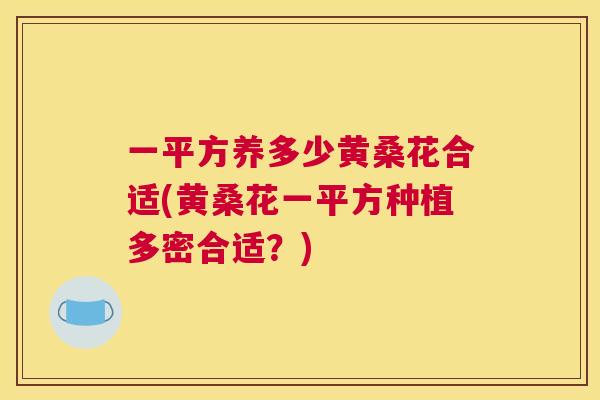 一平方养多少黄桑花合适(黄桑花一平方种植多密合适?) 一平方养多少黄桑花合适(黄桑花一平方种植多密合适?)