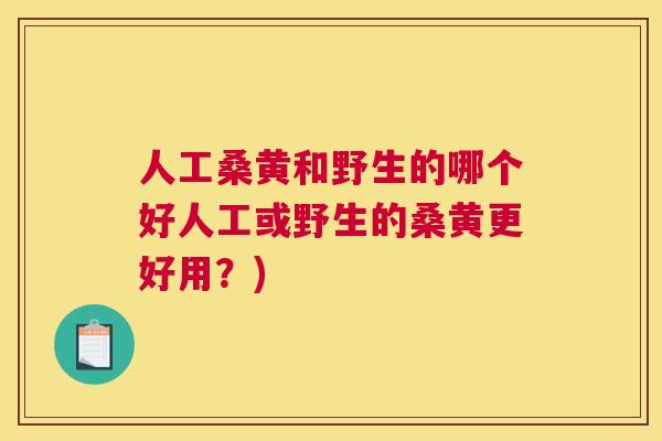 人工桑黄和野生的哪个好人工或野生的桑黄更好用?) 人工桑黄和野生的哪个好人工或野生的桑黄更好用?)
