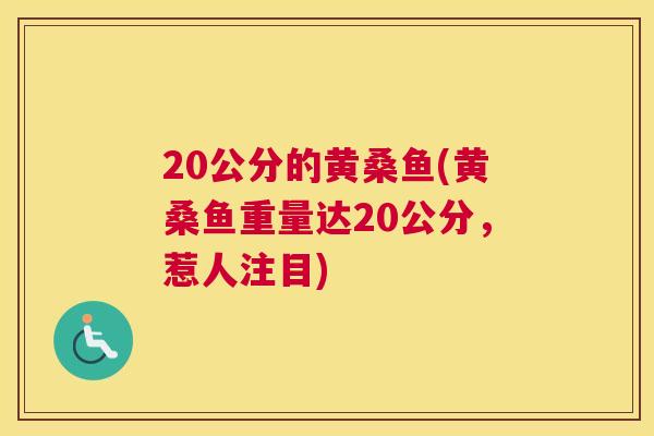 20公分的黄桑鱼(黄桑鱼重量达20公分,惹人注目) 20公分的黄桑鱼(黄桑鱼重量达20公分,惹人注目)
