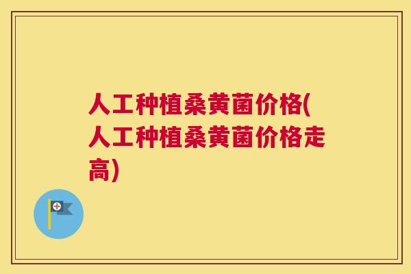 人工种植桑黄菌价格(人工种植桑黄菌价格走高) 人工种植桑黄菌价格(人工种植桑黄菌价格走高)