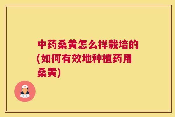 桑黄怎么样栽培的(如何有效地种植药用桑黄) 桑黄怎么样栽培的(如何有效地种植药用桑黄)
