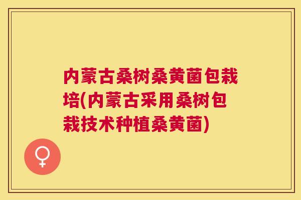 内蒙古桑树桑黄菌包栽培(内蒙古采用桑树包栽技术种植桑黄菌) 内蒙古桑树桑黄菌包栽培(内蒙古采用桑树包栽技术种植桑黄菌)