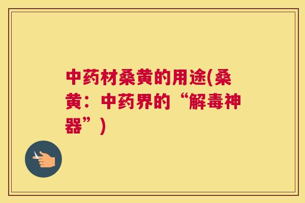 材桑黄的用途(桑黄：界的“神器”)