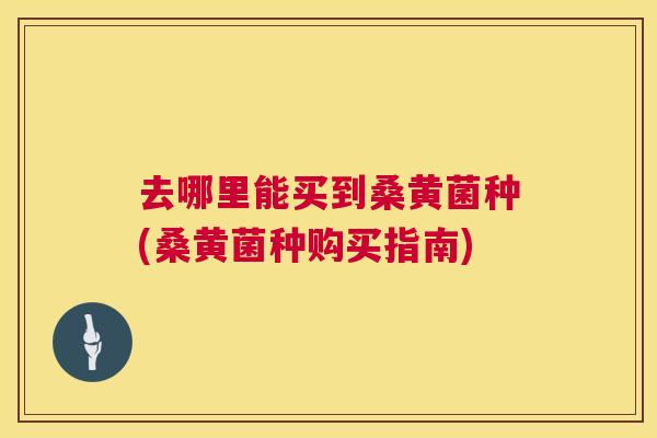 去哪里能买到桑黄菌种(桑黄菌种购买指南) 去哪里能买到桑黄菌种(桑黄菌种购买指南)