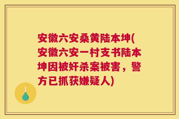 安徽六安桑黄陆本坤(安徽六安一村支书陆本坤因被奸杀案被害，警方已抓获嫌疑人)