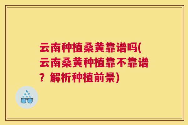 云南种植桑黄靠谱吗(云南桑黄种植靠不靠谱?解析种植前景) 云南种植桑黄靠谱吗(云南桑黄种植靠不靠谱?解析种植前景)