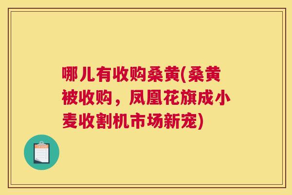 哪儿有收购桑黄(桑黄被收购,凤凰花旗成小麦收割机市场新宠) 哪儿有收购桑黄(桑黄被收购,凤凰花旗成小麦收割机市场新宠)