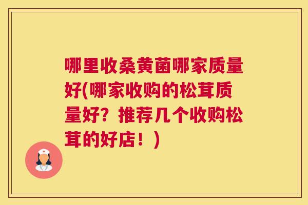 哪里收桑黄菌哪家质量好(哪家收购的松茸质量好?推荐几个收购松茸的好店!) 哪里收桑黄菌哪家质量好(哪家收购的松茸质量好?推荐几个收购松茸的好店!)