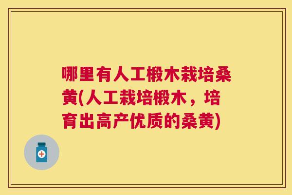 哪里有人工椴木栽培桑黄(人工栽培椴木,培育出高产优质的桑黄) 哪里有人工椴木栽培桑黄(人工栽培椴木,培育出高产优质的桑黄)