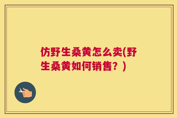 仿野生桑黄怎么卖(野生桑黄如何销售?) 仿野生桑黄怎么卖(野生桑黄如何销售?)