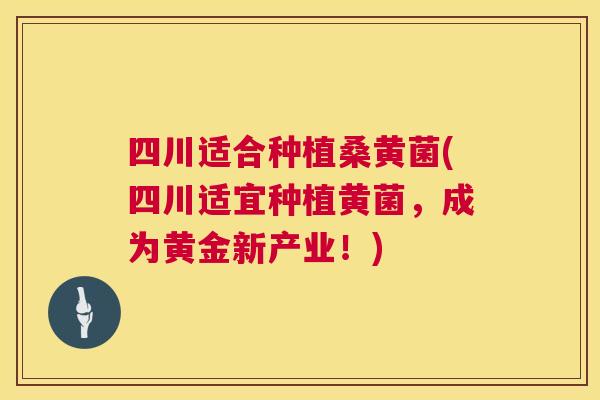 四川适合种植桑黄菌(四川适宜种植黄菌,成为黄金新产业!) 四川适合种植桑黄菌(四川适宜种植黄菌,成为黄金新产业!)