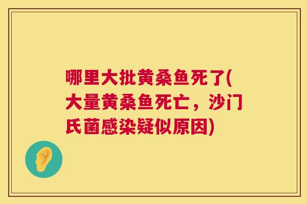 哪里大批黄桑鱼死了(大量黄桑鱼死亡,沙门氏菌疑似原因) 哪里大批黄桑鱼死了(大量黄桑鱼死亡,沙门氏菌疑似原因)