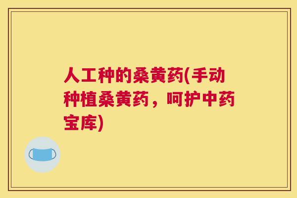 人工种的桑黄药(手动种植桑黄药,呵护宝库) 人工种的桑黄药(手动种植桑黄药,呵护宝库)