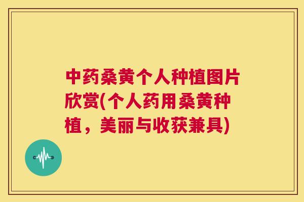 桑黄个人种植图片欣赏(个人药用桑黄种植,美丽与收获兼具) 桑黄个人种植图片欣赏(个人药用桑黄种植,美丽与收获兼具)