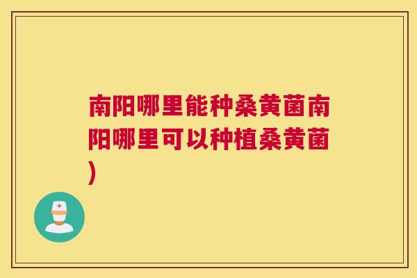 南阳哪里能种桑黄菌南阳哪里可以种植桑黄菌) 南阳哪里能种桑黄菌南阳哪里可以种植桑黄菌)